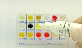 EnteroPluri-Test - 10 teste