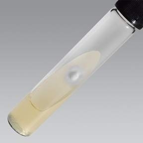 Agar Nutritiv