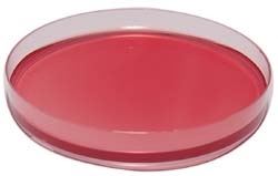 D.C.L. Agar (Hynes)