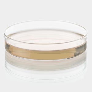 Listeria Oxford Agar